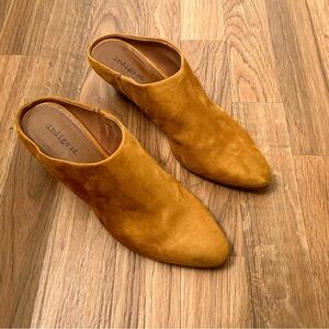 indigo road lanarca pointed toe mule